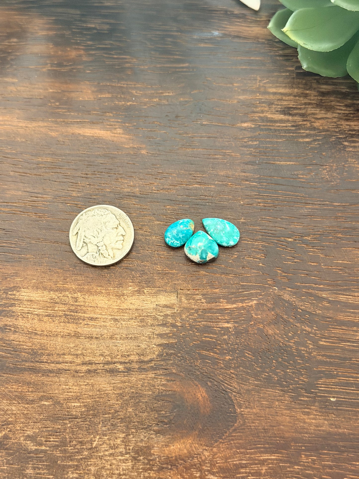 White Water Turquoise Cabs