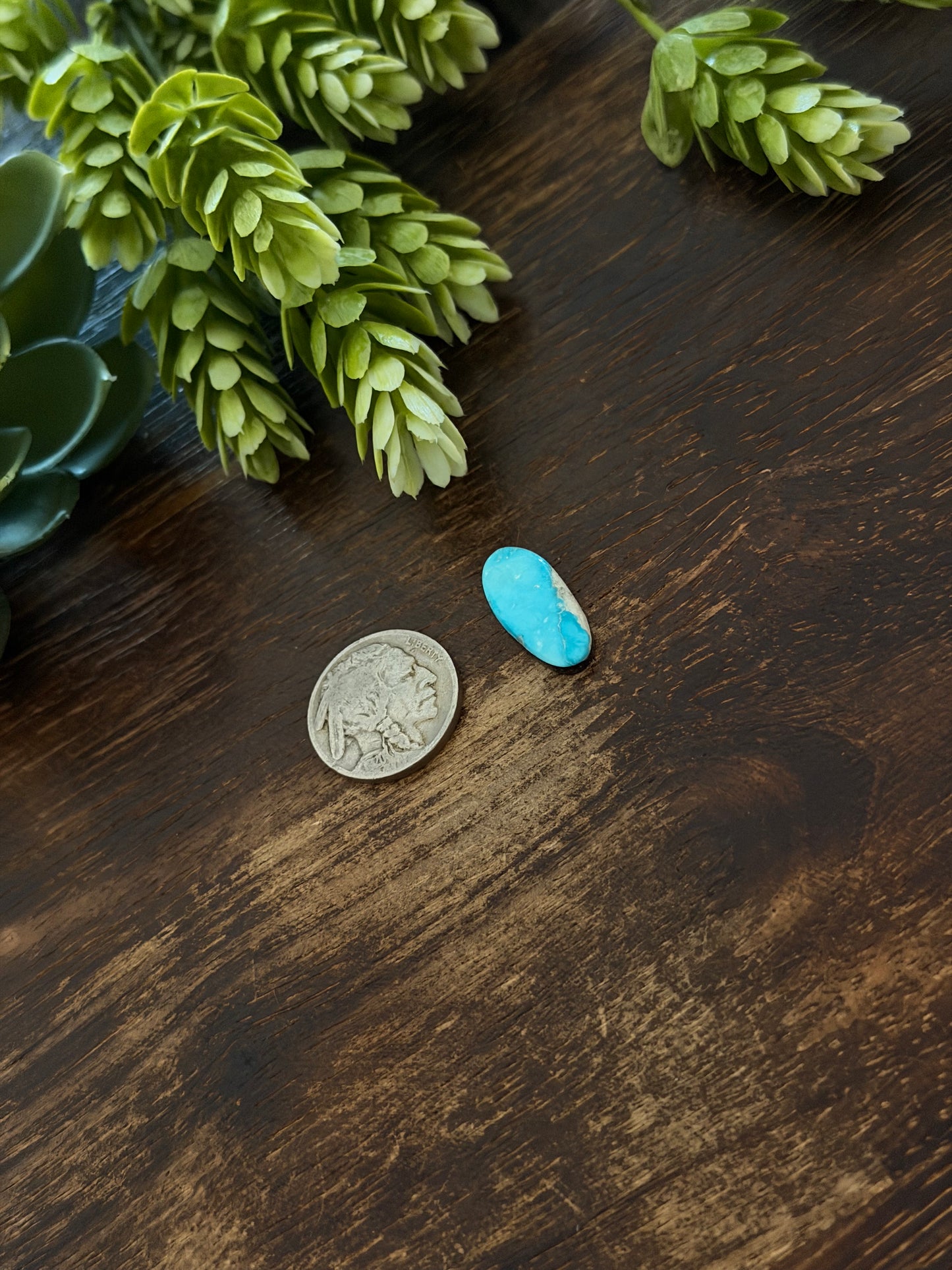 Blue Bird Turquoise Cab
