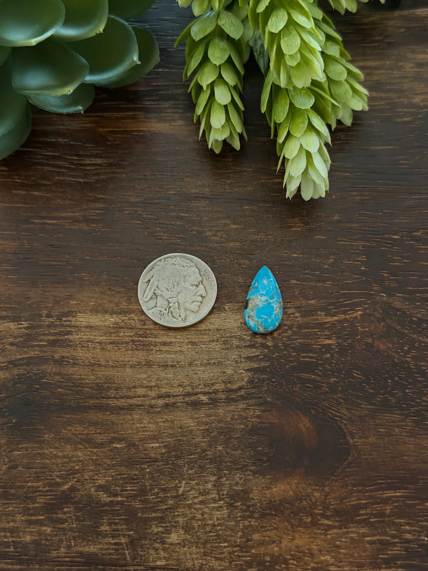 Blue Bird Turquoise Cab