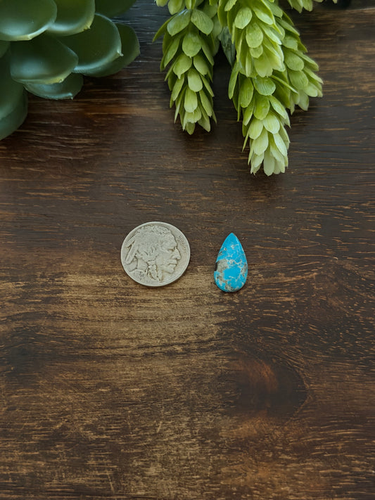 Blue Bird Turquoise Cab