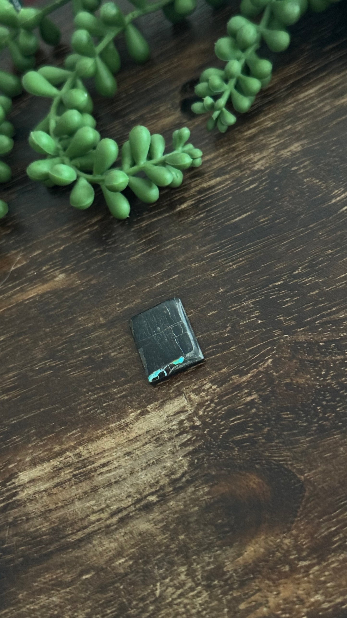 Black Jack Turquoise Cab