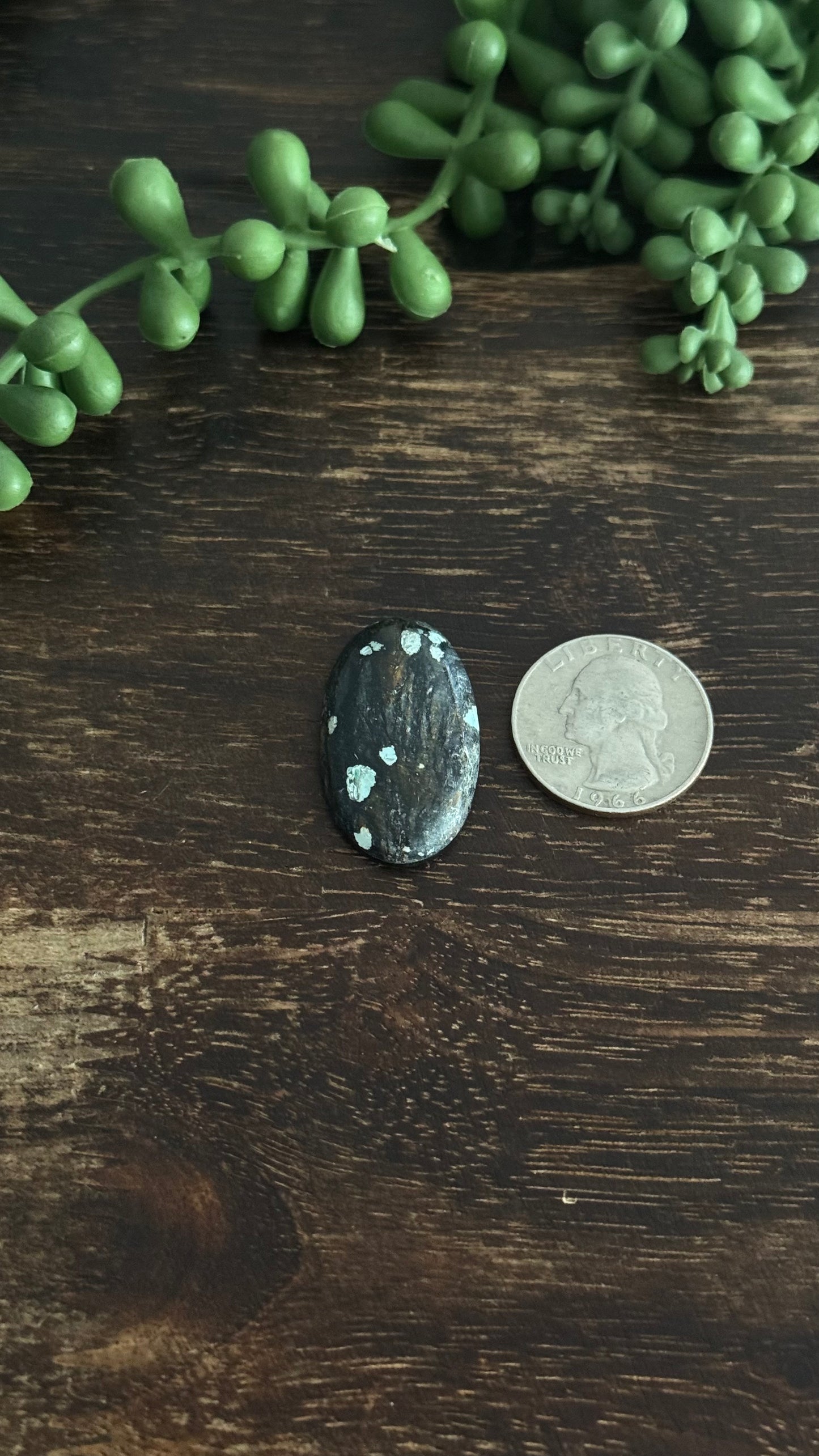 Black Jack Turquoise Cab