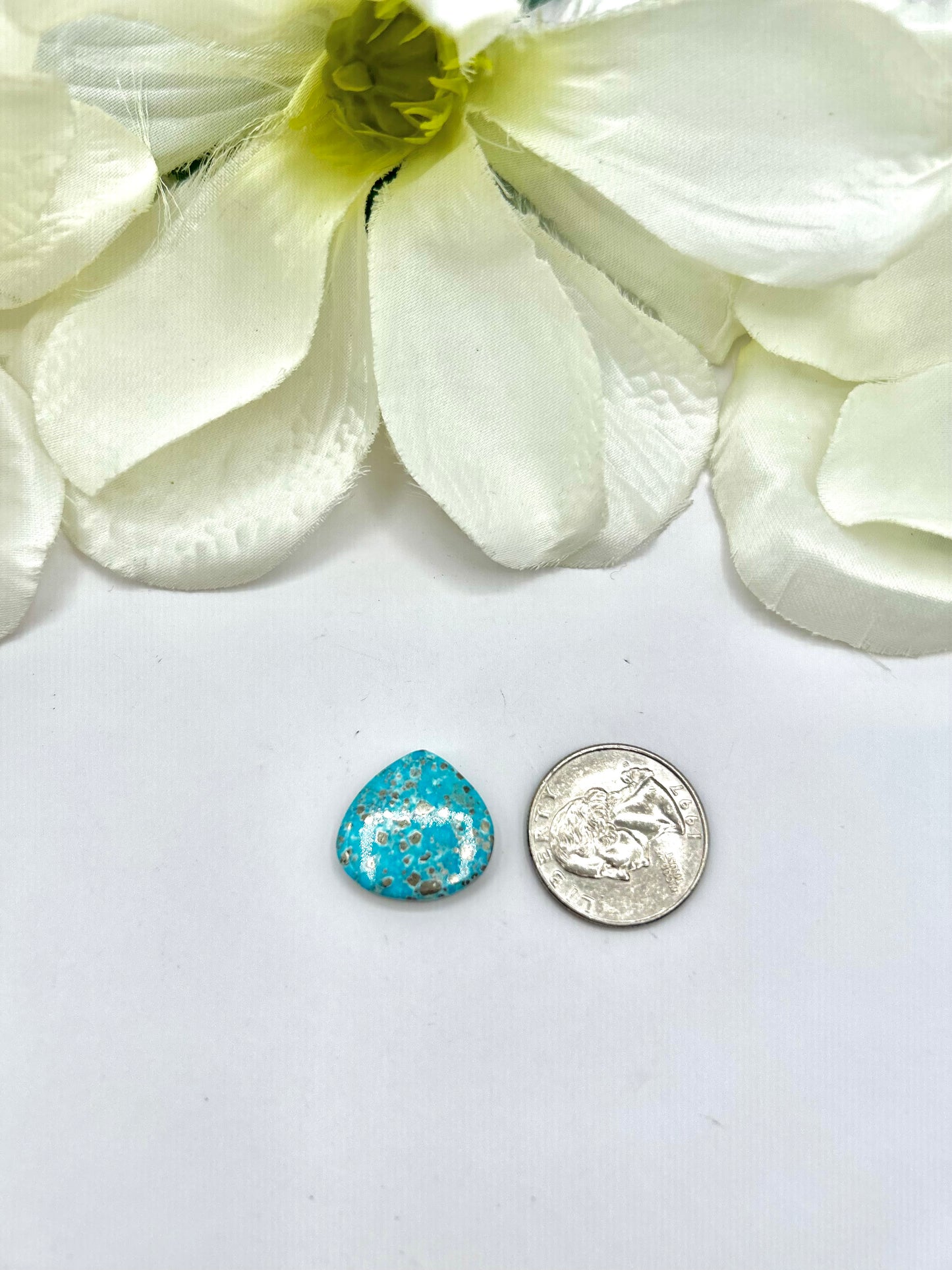 Blue Ridge Turquoise Cabs