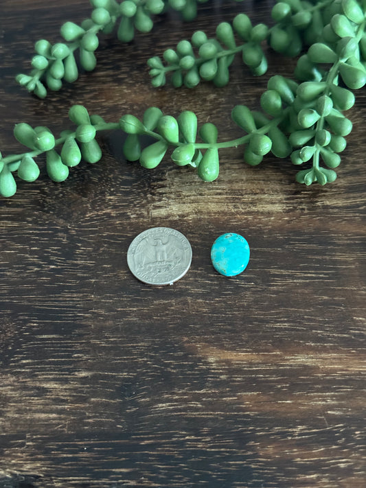 Kingman Turquoise Cab