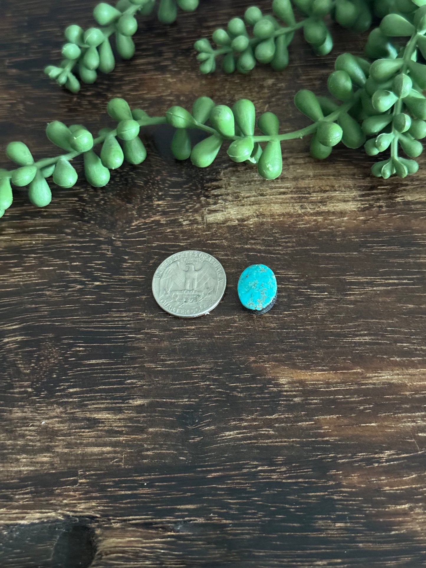 Kingman Turquoise Cab