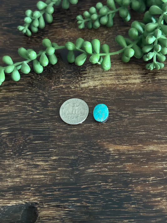 Kingman Turquoise Cab