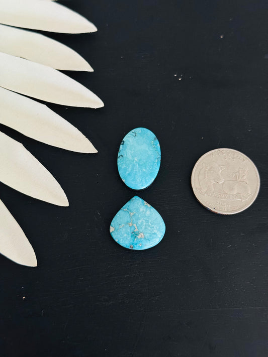 Blue Bird Turquoise Cabs