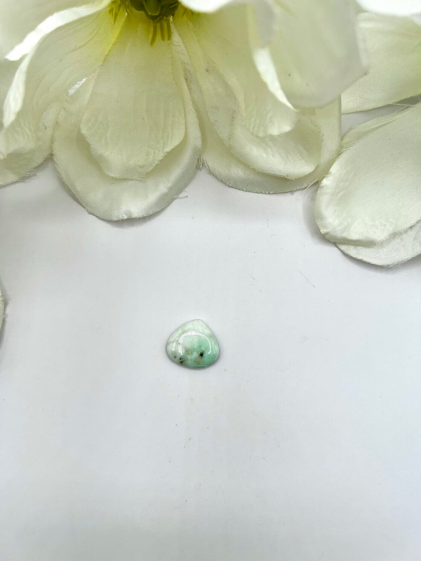 Paloma Variscite Cabs