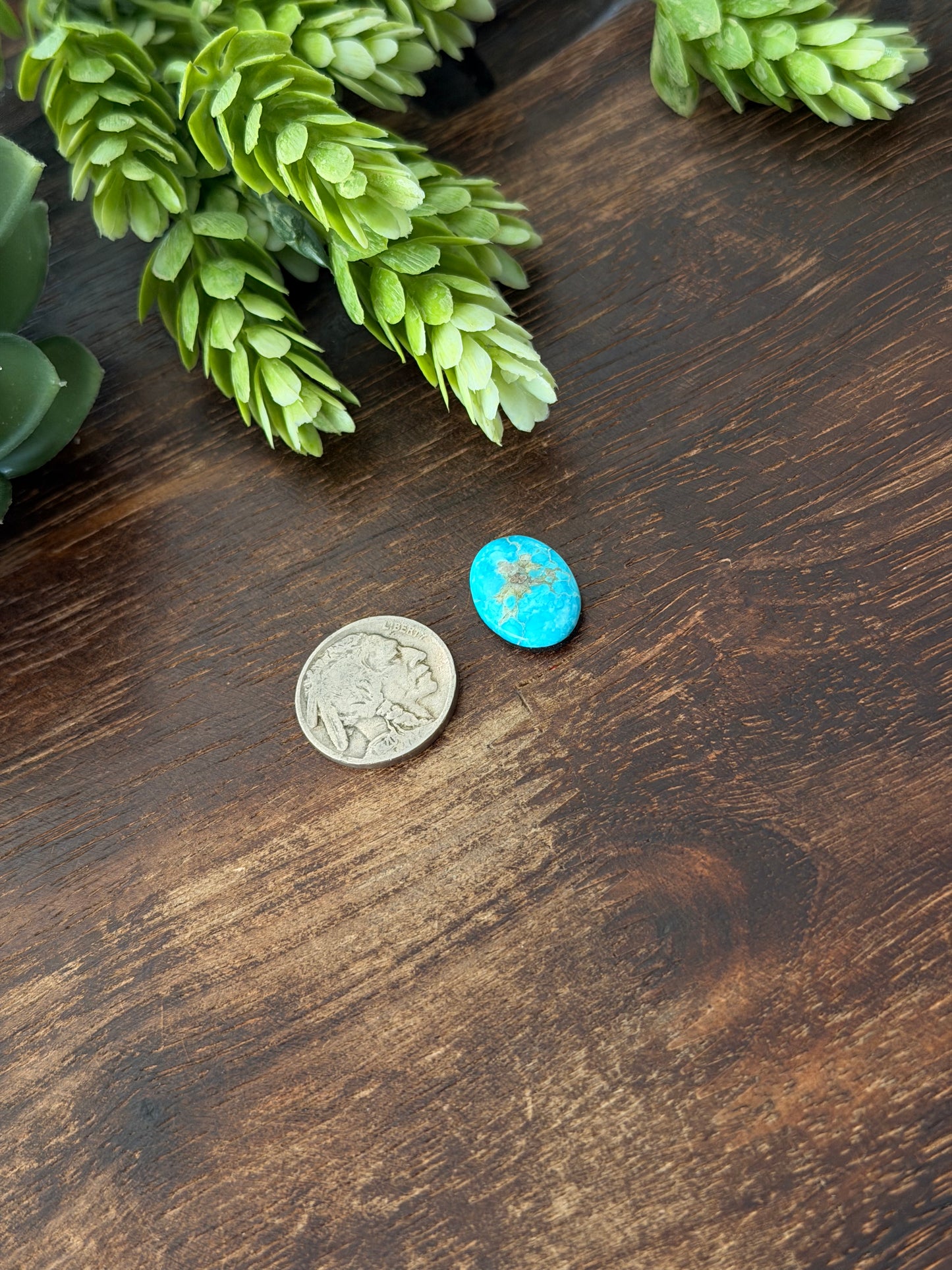 Blue Bird Turquoise Cab