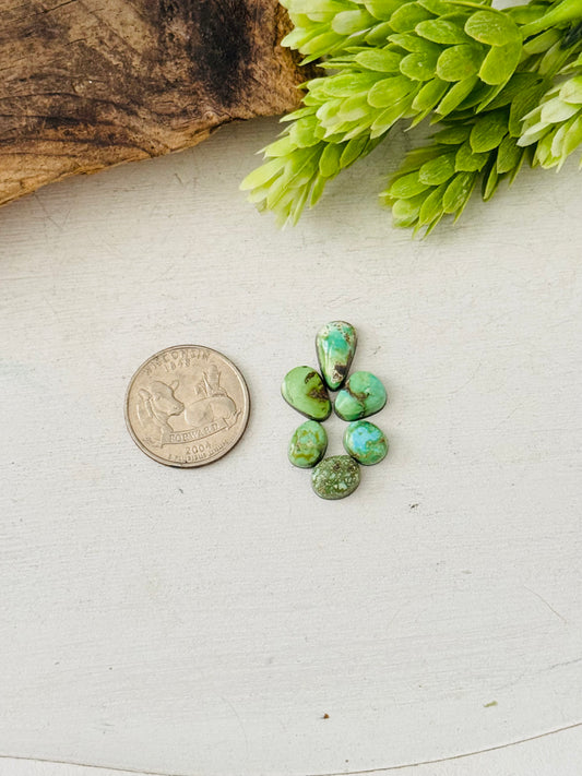 Natural Sonoran Gold Turquoise Cabs