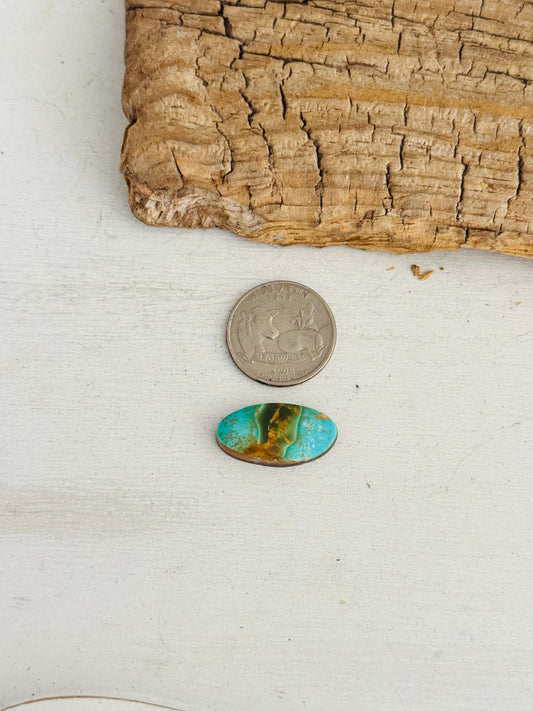 Natural Kings Manassa Turquoise Cab