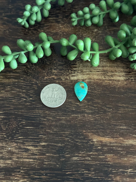 Kingman Turquoise Cab