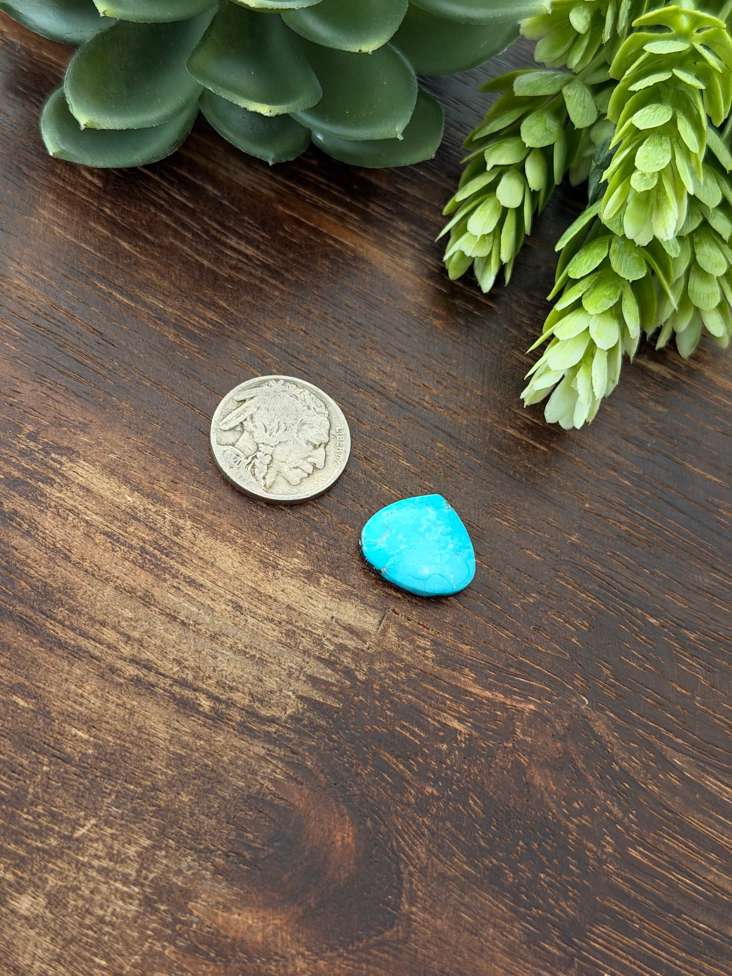 Blue Bird Turquoise Cab