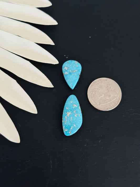 Blue Bird Turquoise Cabs