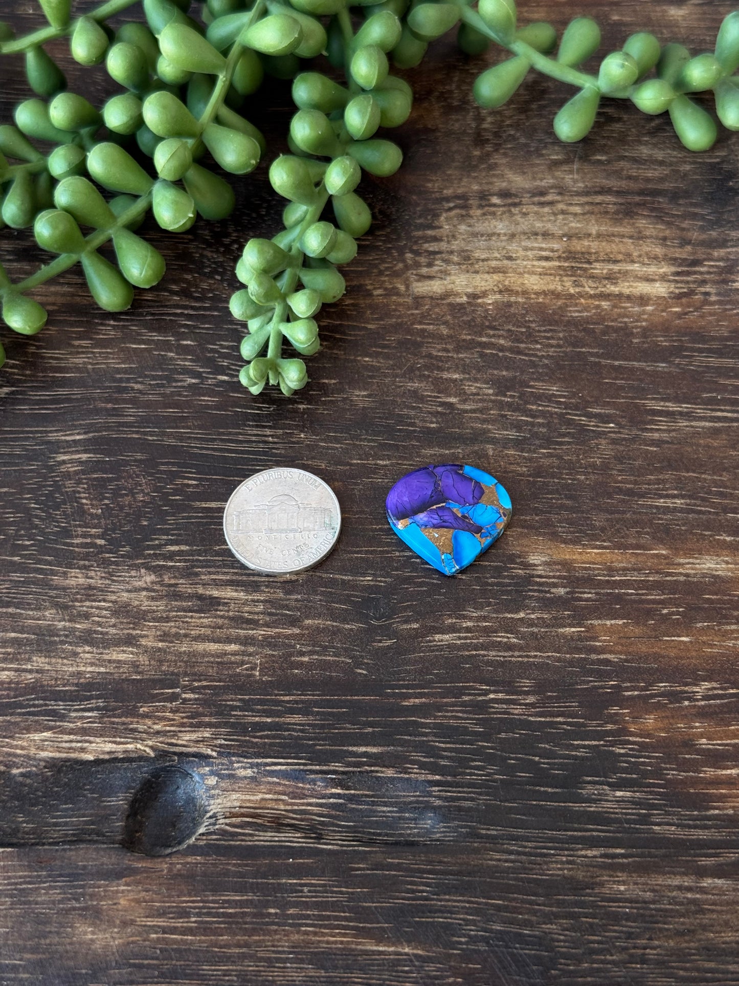 Purple Dahlia Composite Cabs