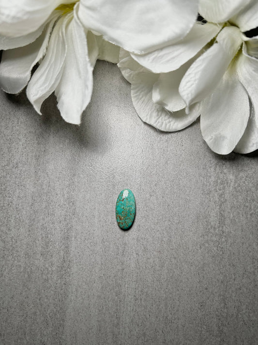 Kingman Turquoise Cab