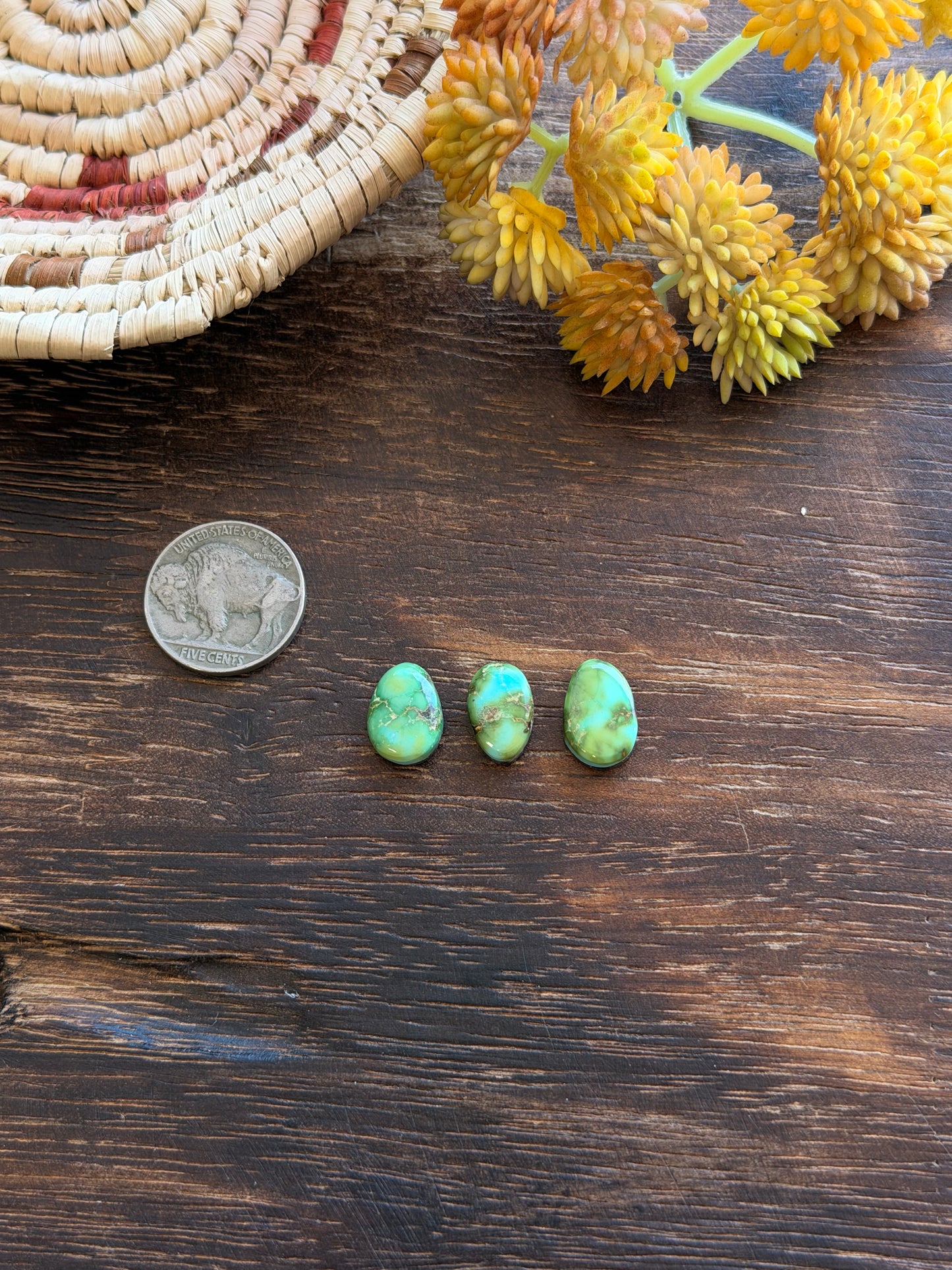 Sonoran Mountain Turquoise Cabs