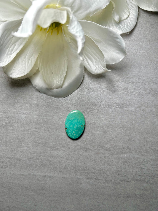 Kingman Turquoise Cab
