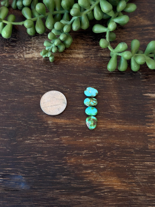 Sonoran Mountain Turquoise Cabs