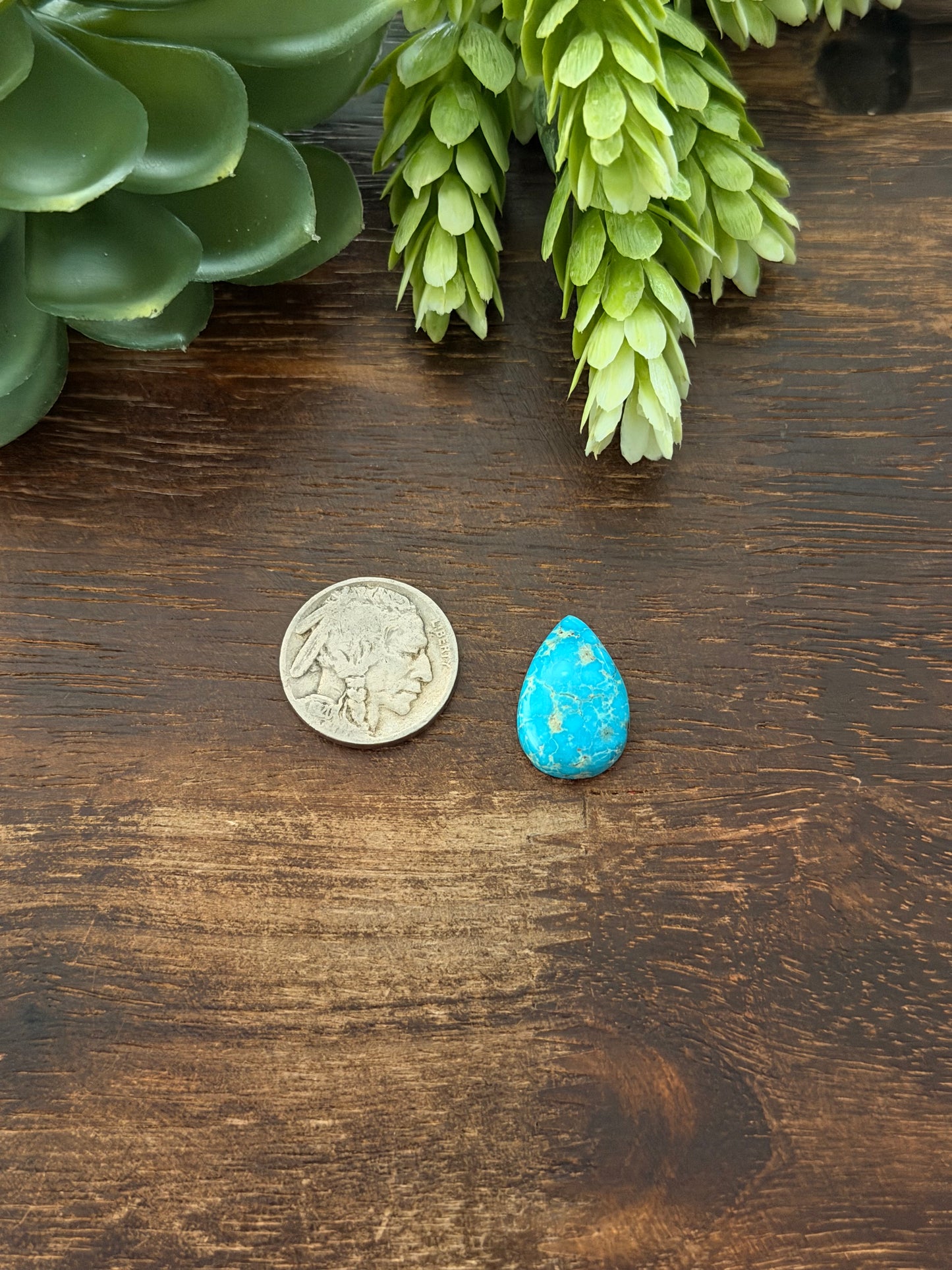 Blue Bird Turquoise Cab