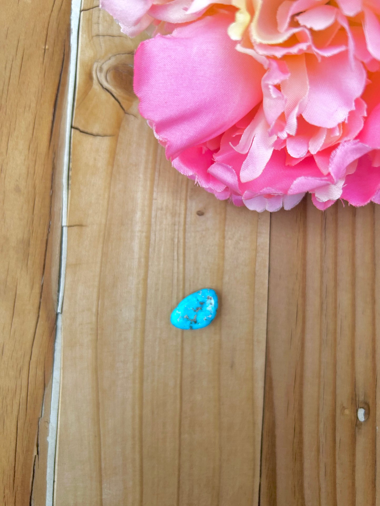 Blue Bird Turquoise Cabs