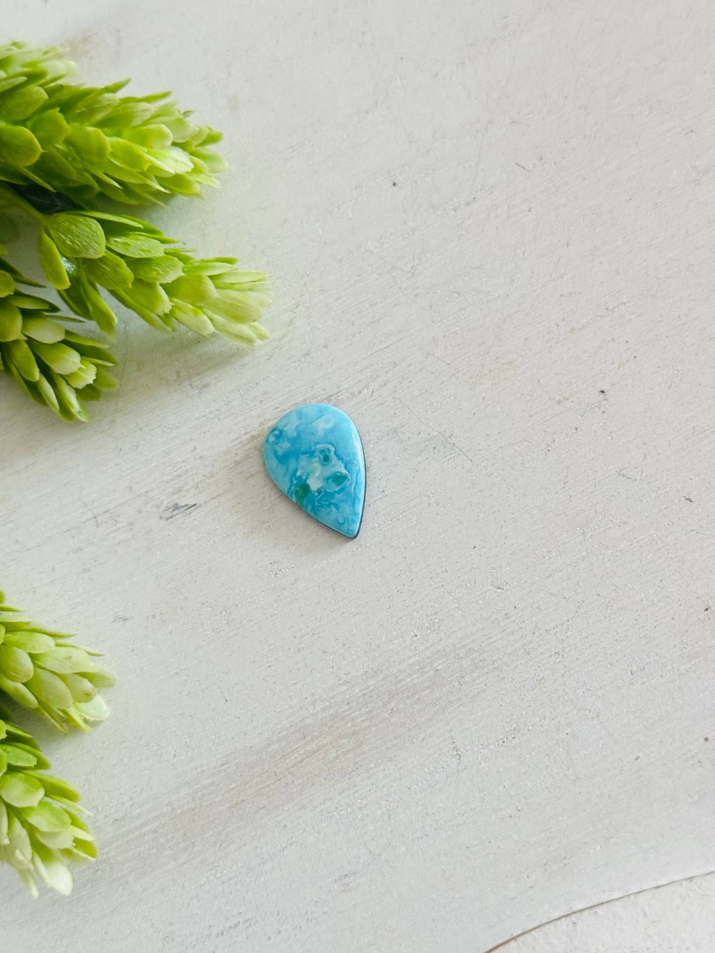 Blue Bird Turquoise Cab