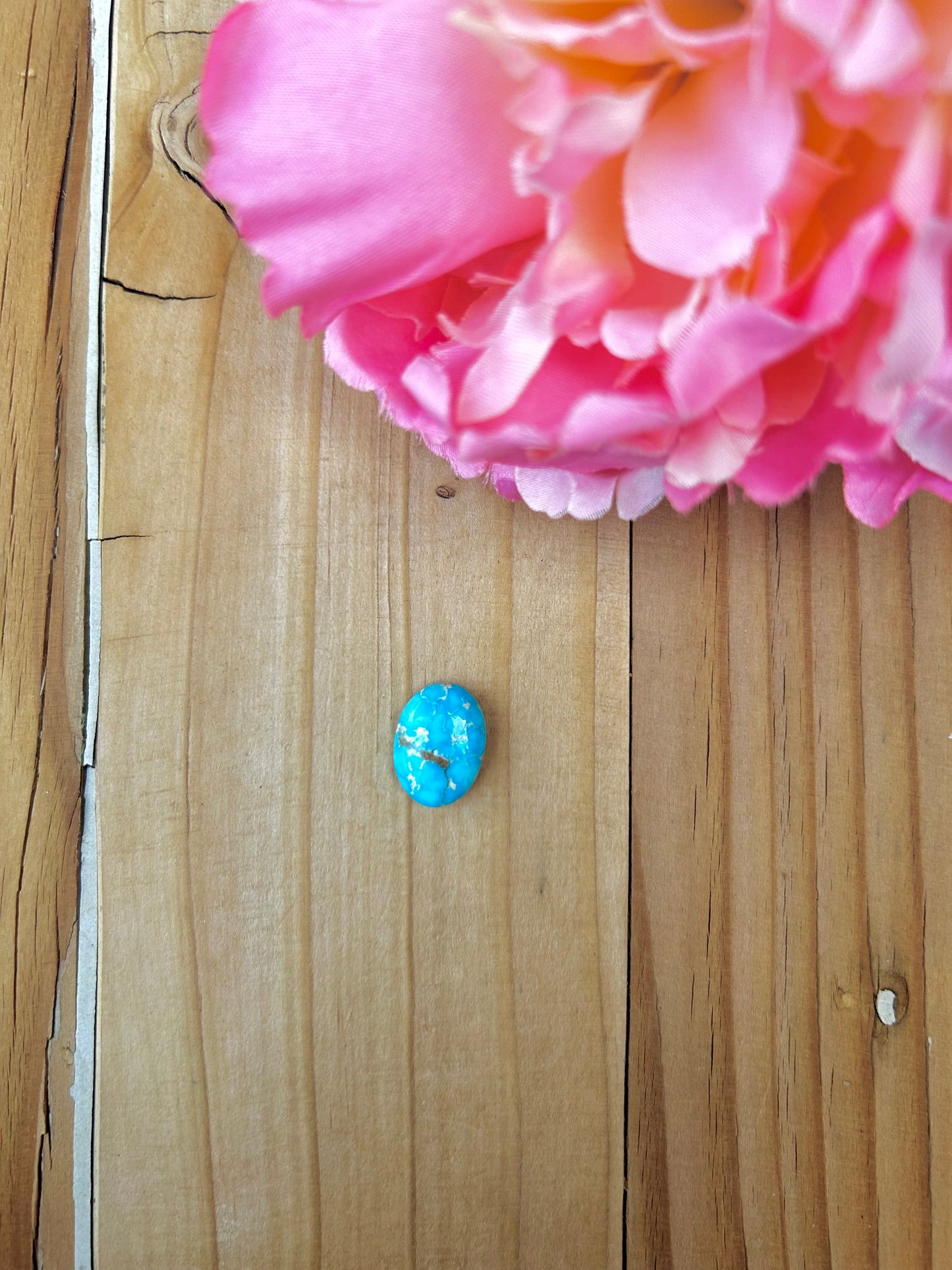 Blue Bird Turquoise Cabs