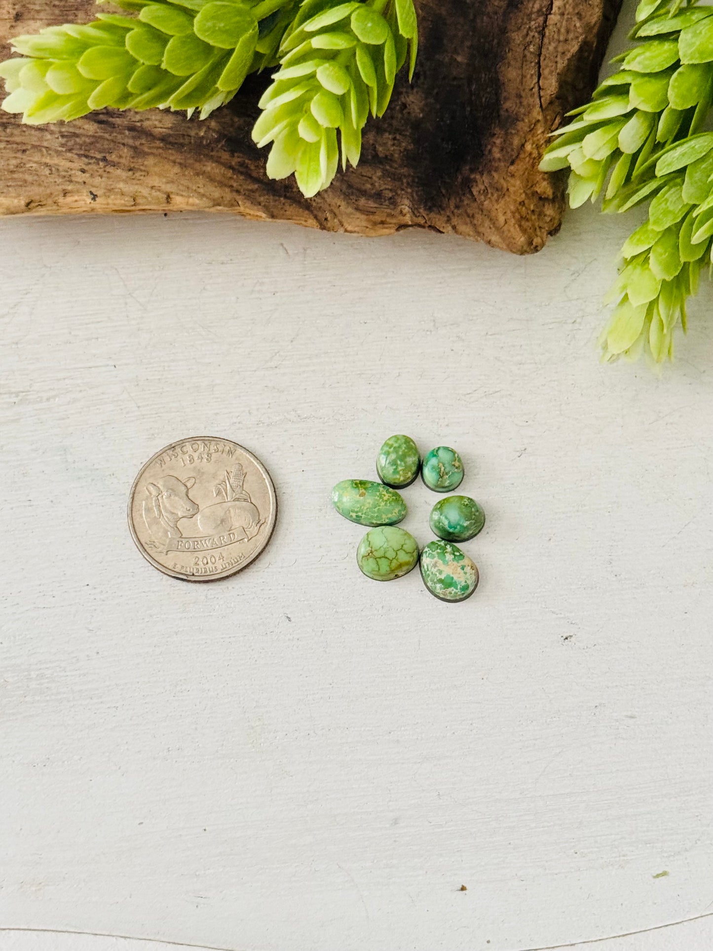 Natural Sonoran Gold Turquoise Cabs