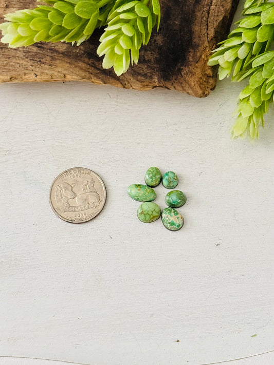 Natural Sonoran Gold Turquoise Cabs