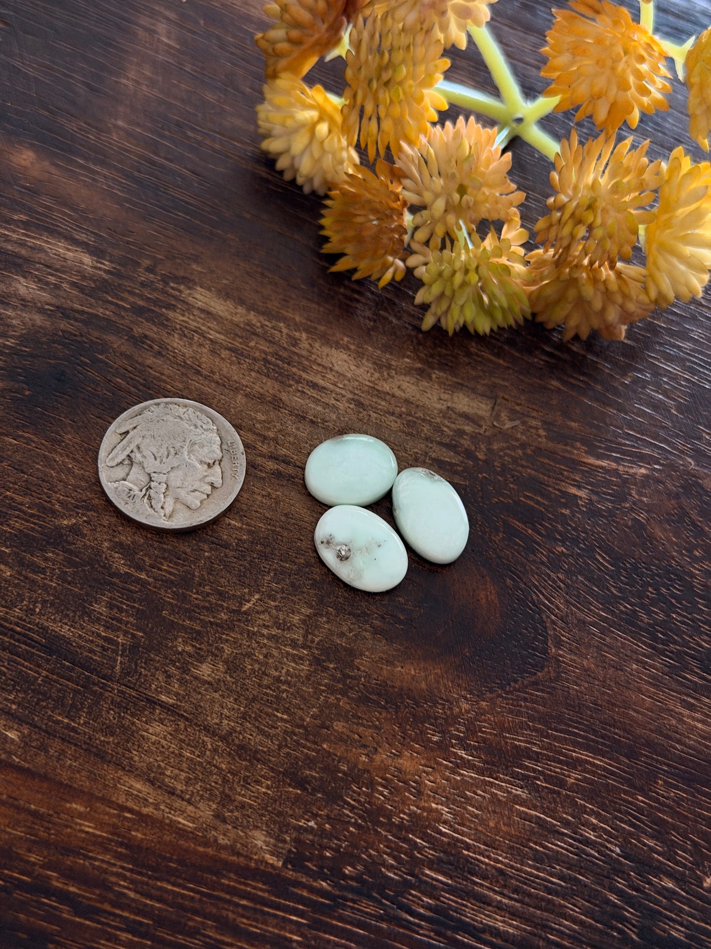 Paloma Variscite Cabs