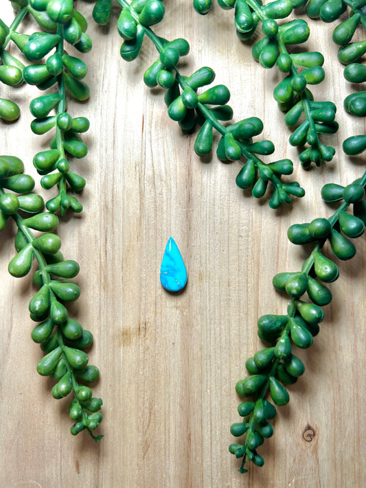 Blue Ridge Turquoise Cab
