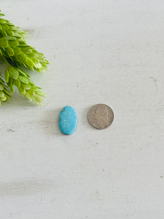 Blue Bird Turquoise Cab