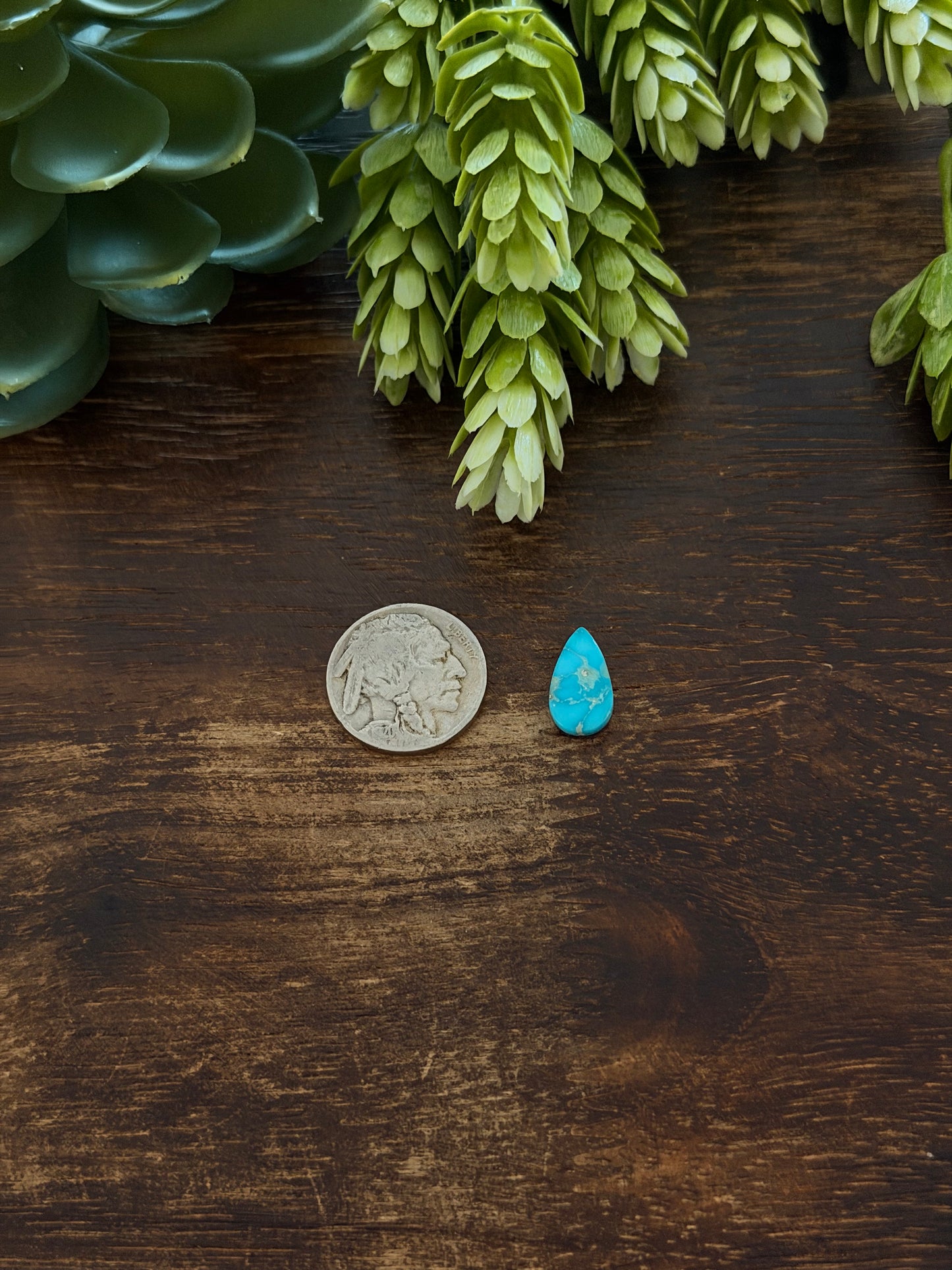 Blue Bird Turquoise Cab