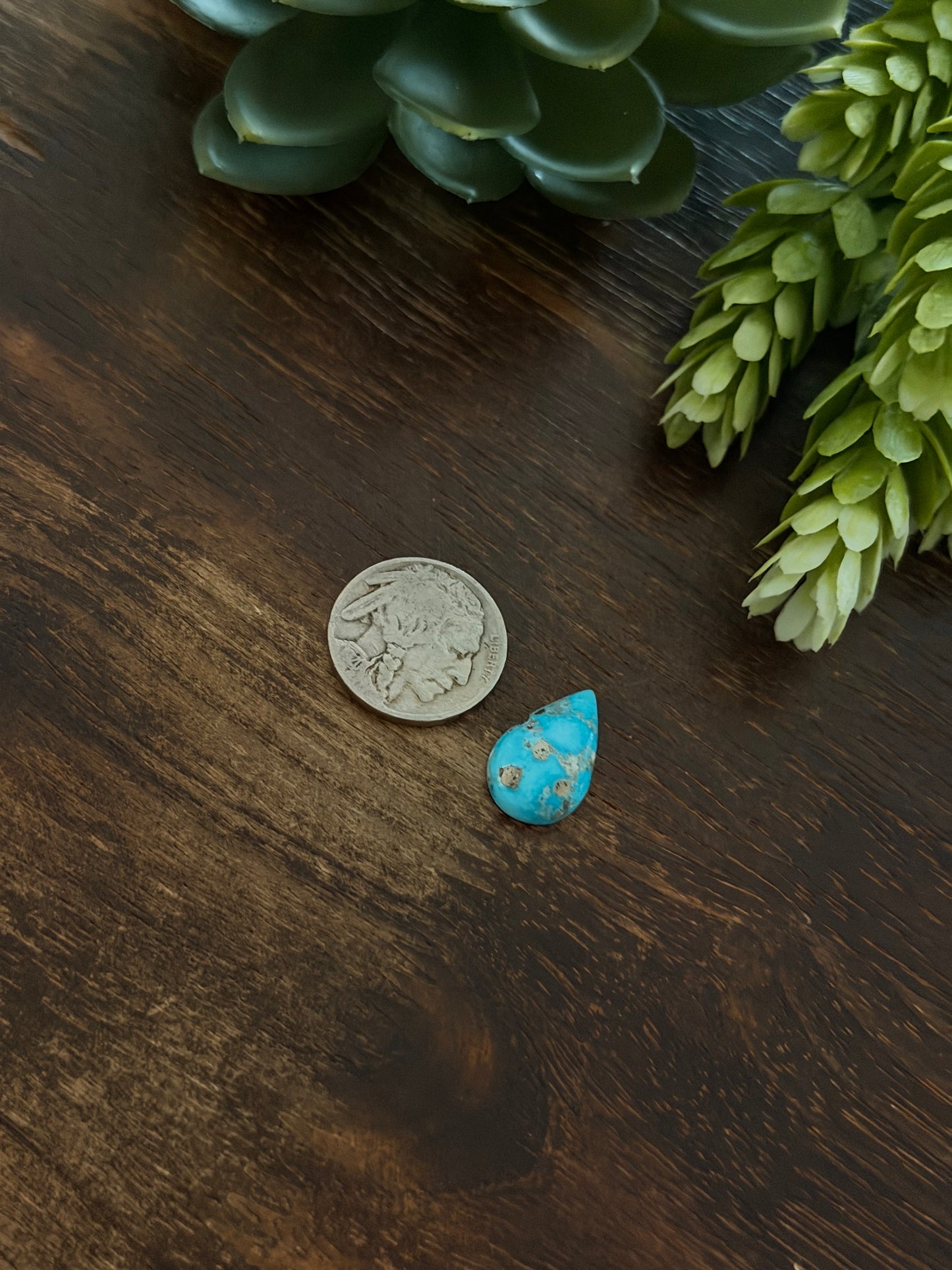 Blue Bird Turquoise Cab