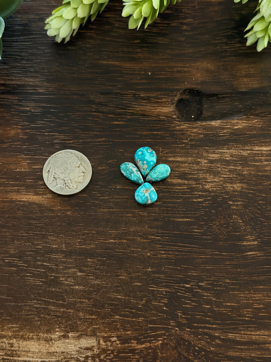 White Water Turquoise Cabs