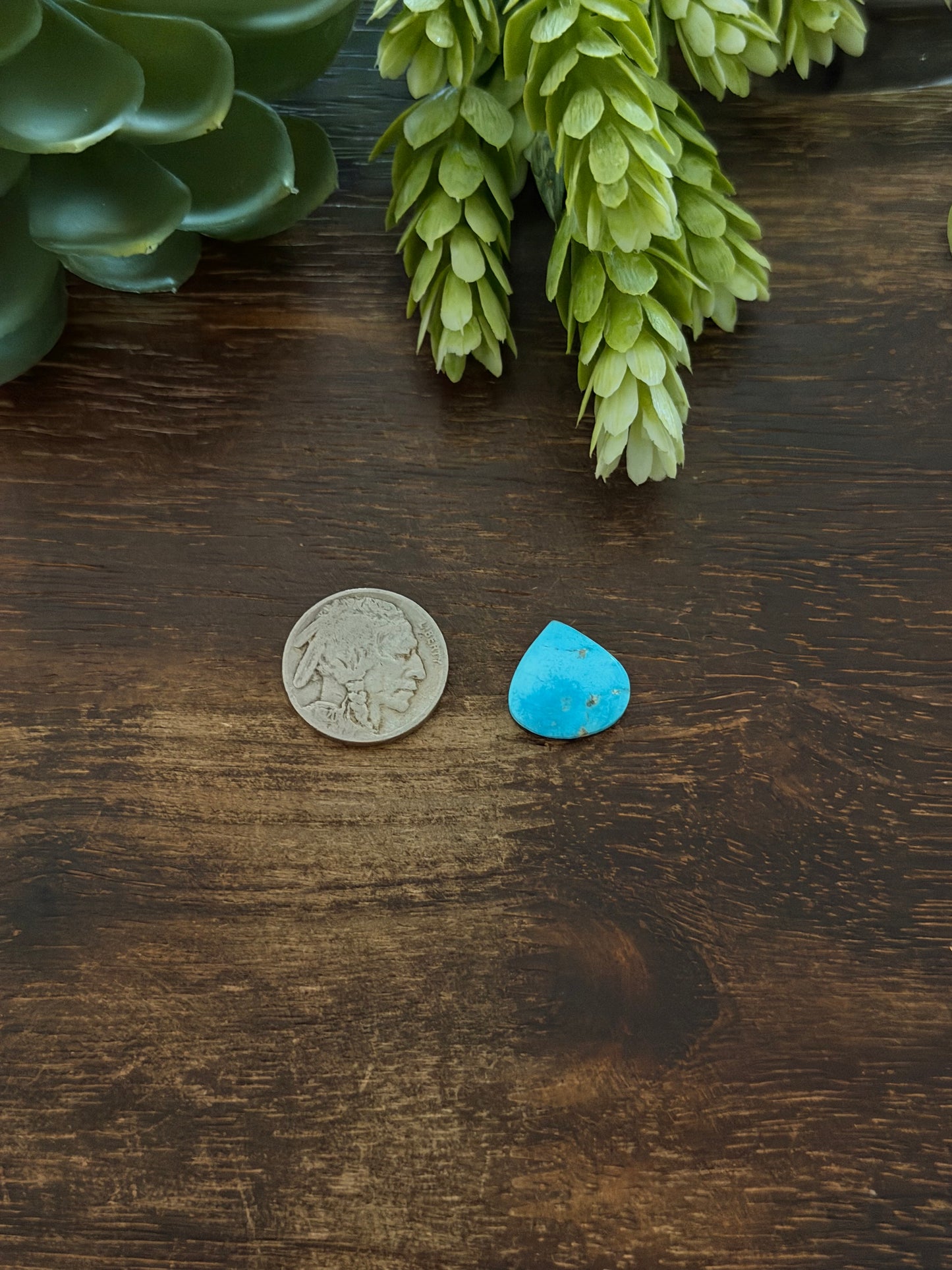 Blue Bird Turquoise Cab