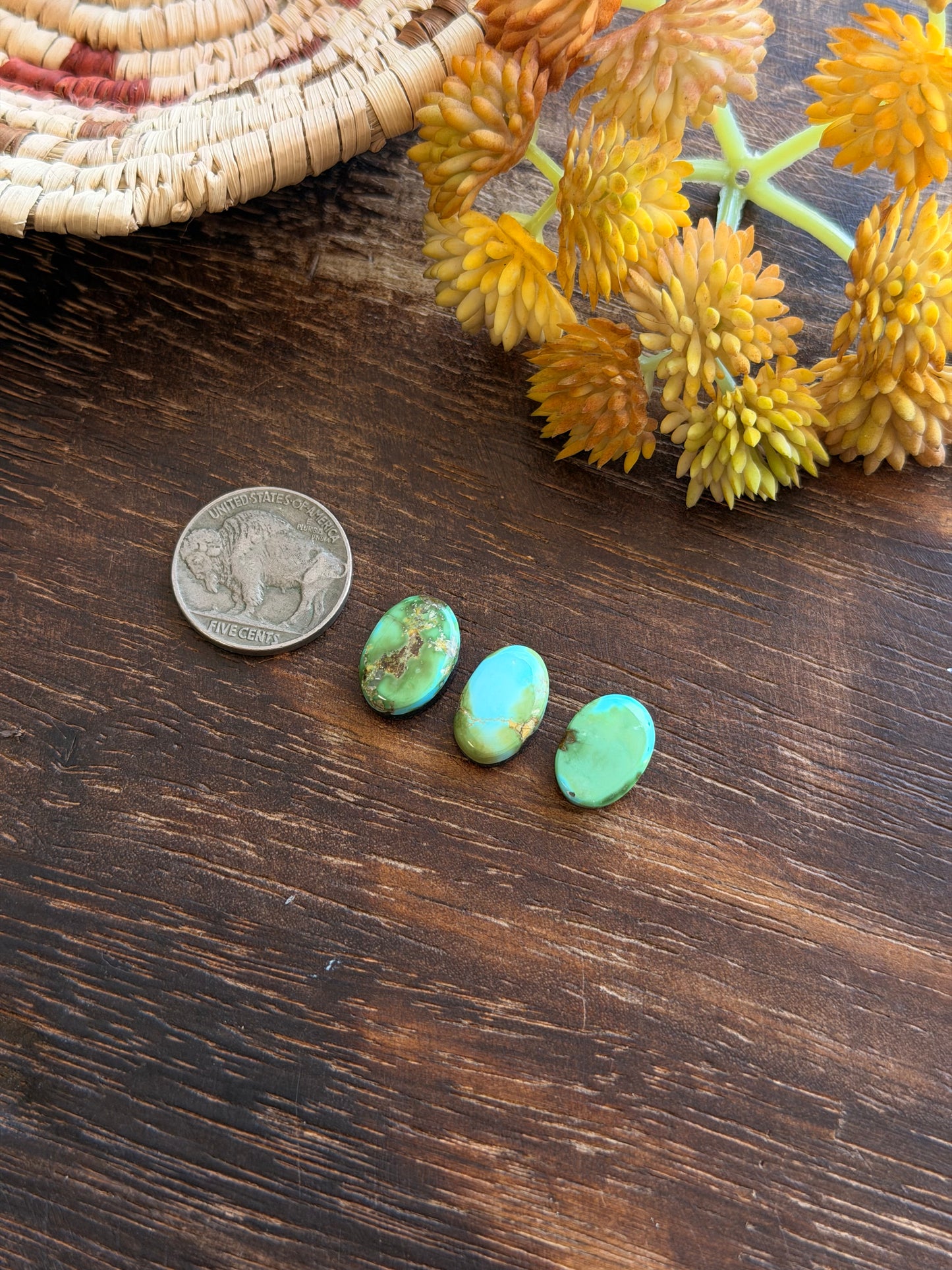 Sonoran Mountain Turquoise Cabs