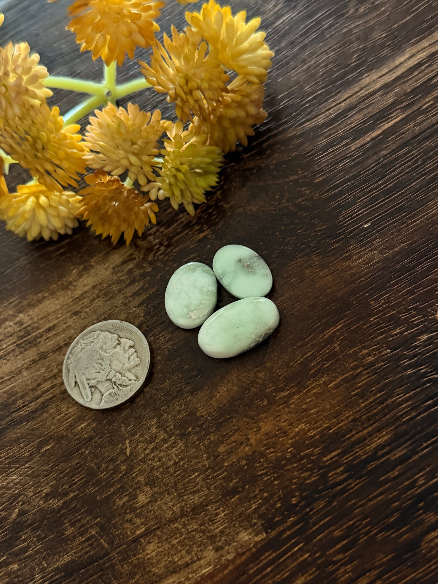 Paloma Variscite Cabs