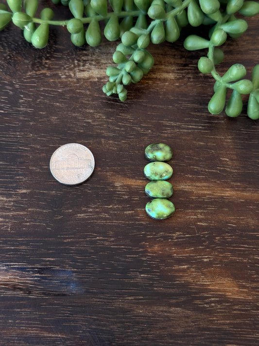 Sonoran Mountain Turquoise Cabs