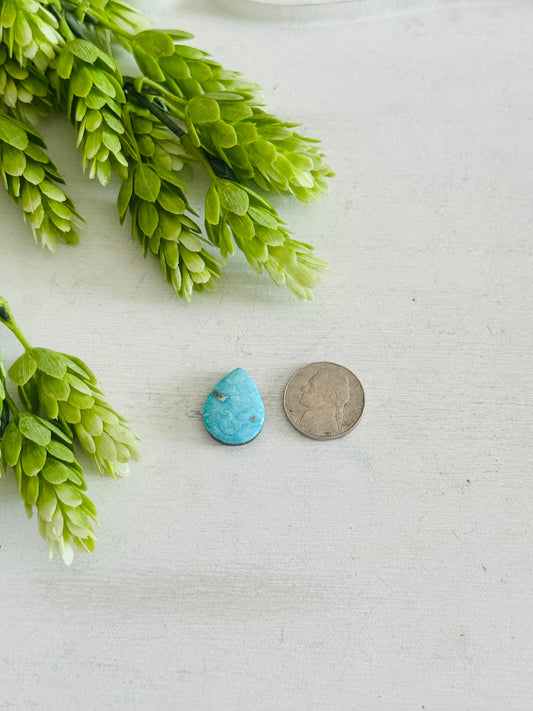 Blue Bird Turquoise Cab