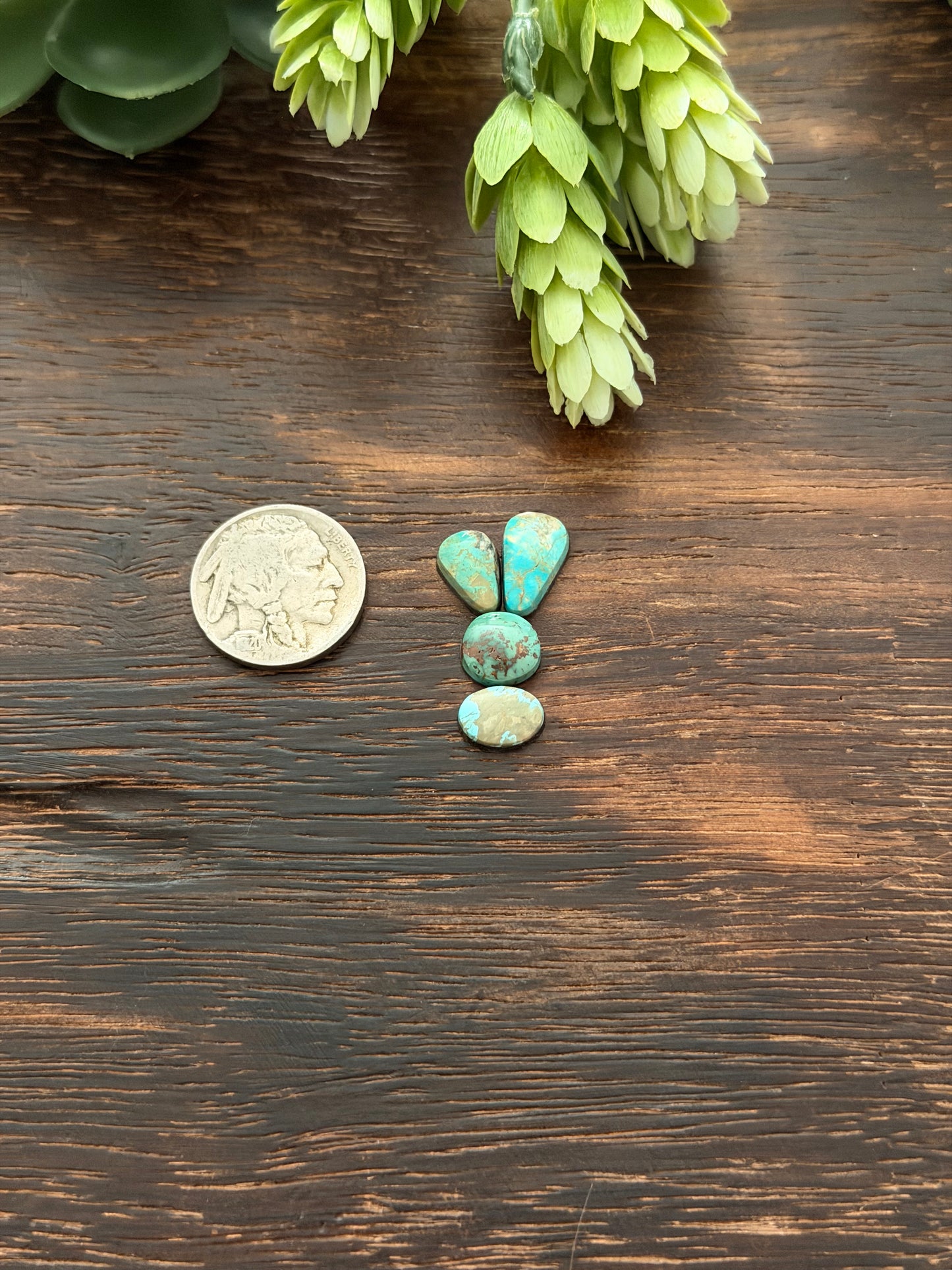Evans Turquoise Cabs