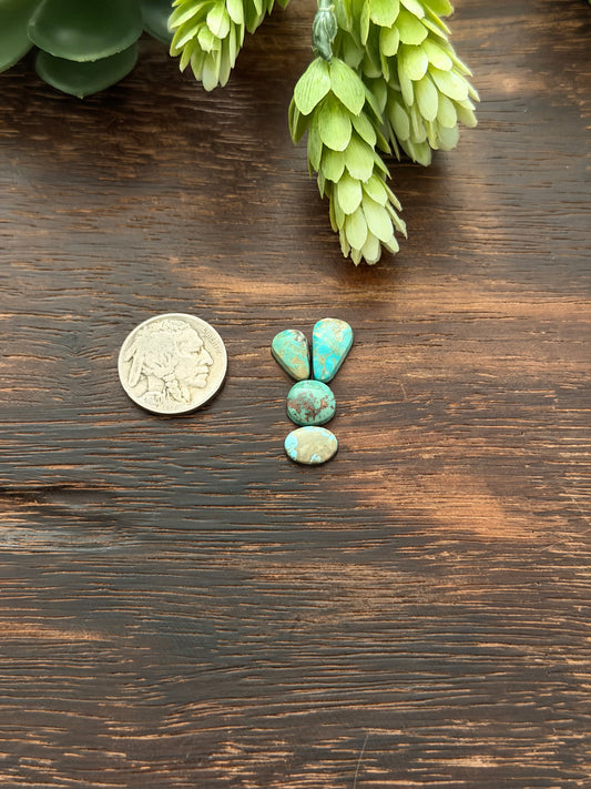 Evans Turquoise Cabs