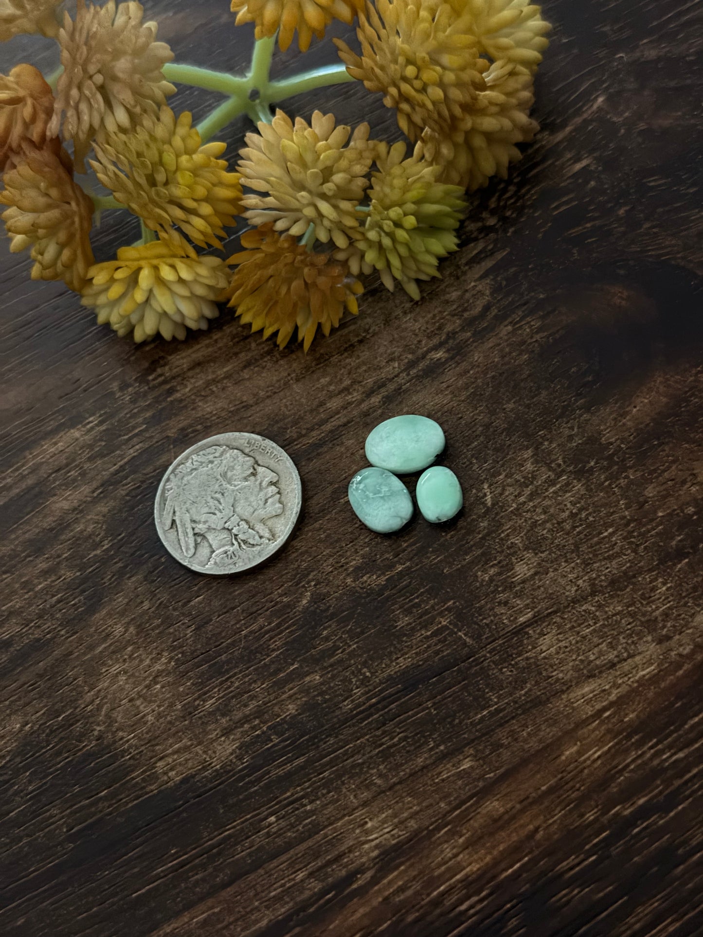 Paloma Variscite Cabs