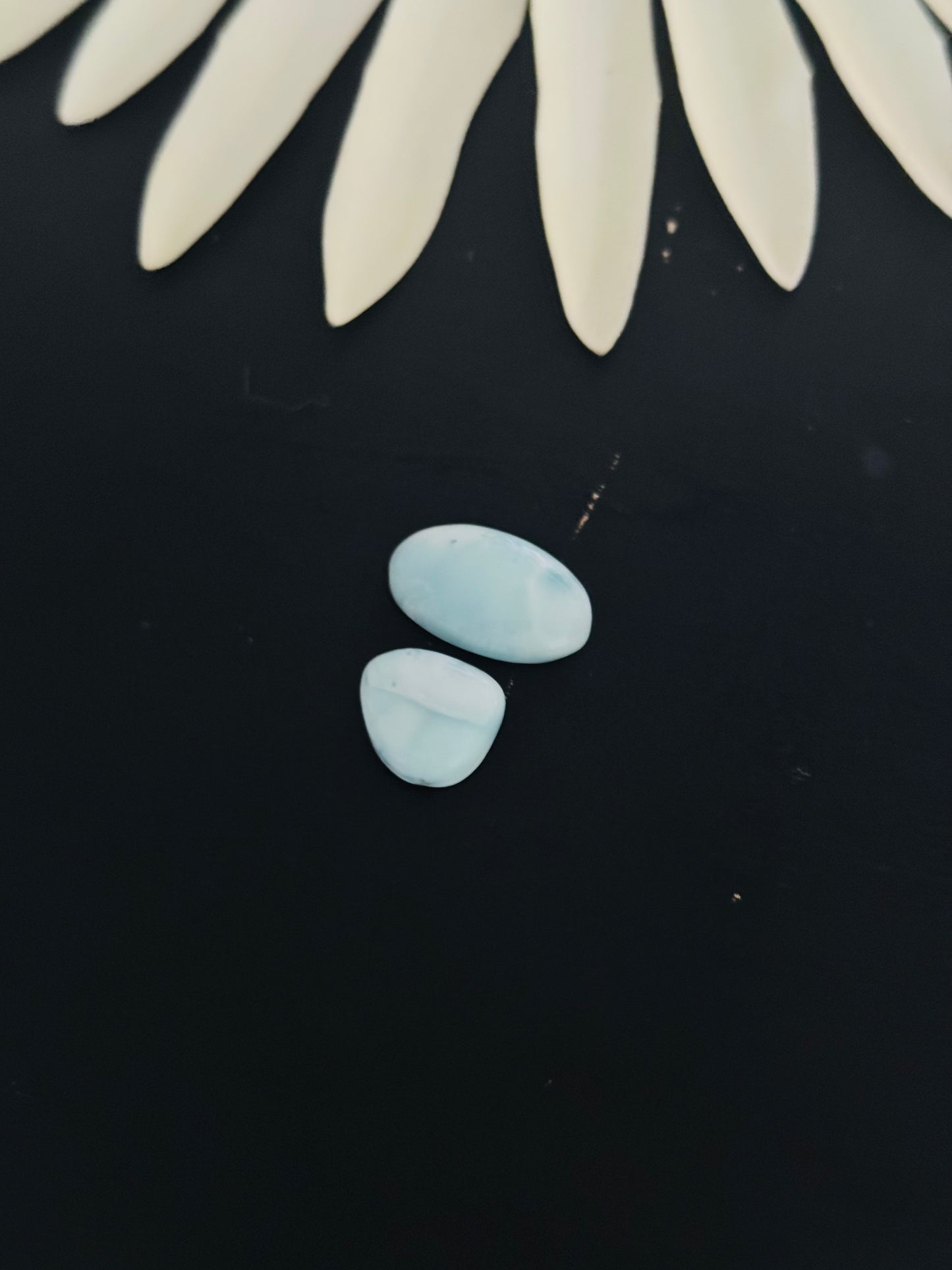 Larimar Cabs