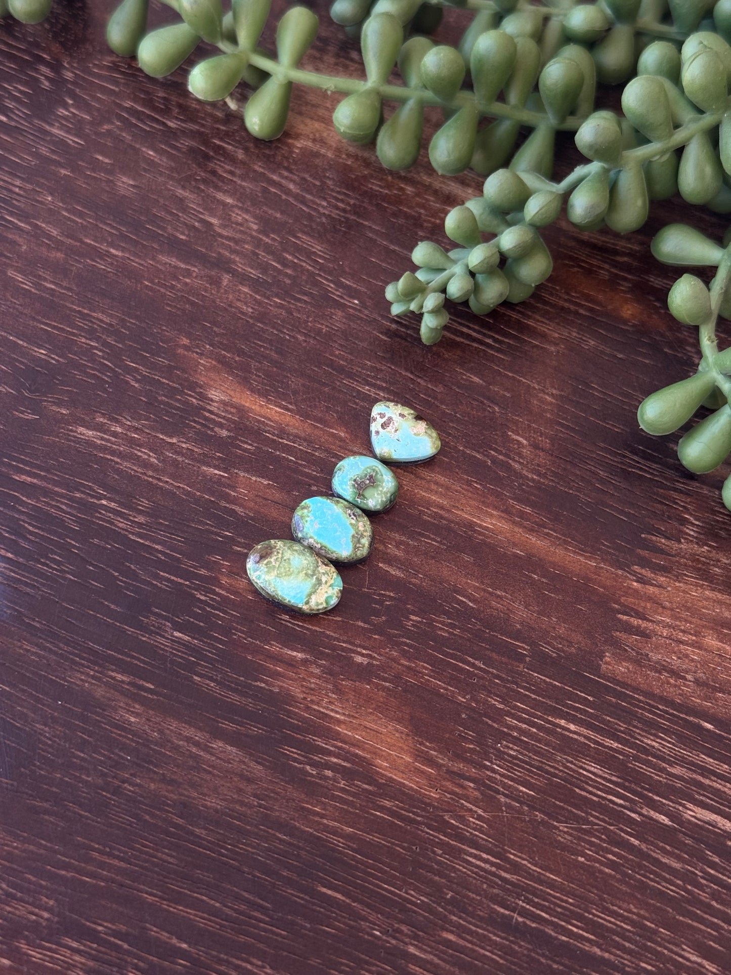 Sonoran Mountain Turquoise Cabs