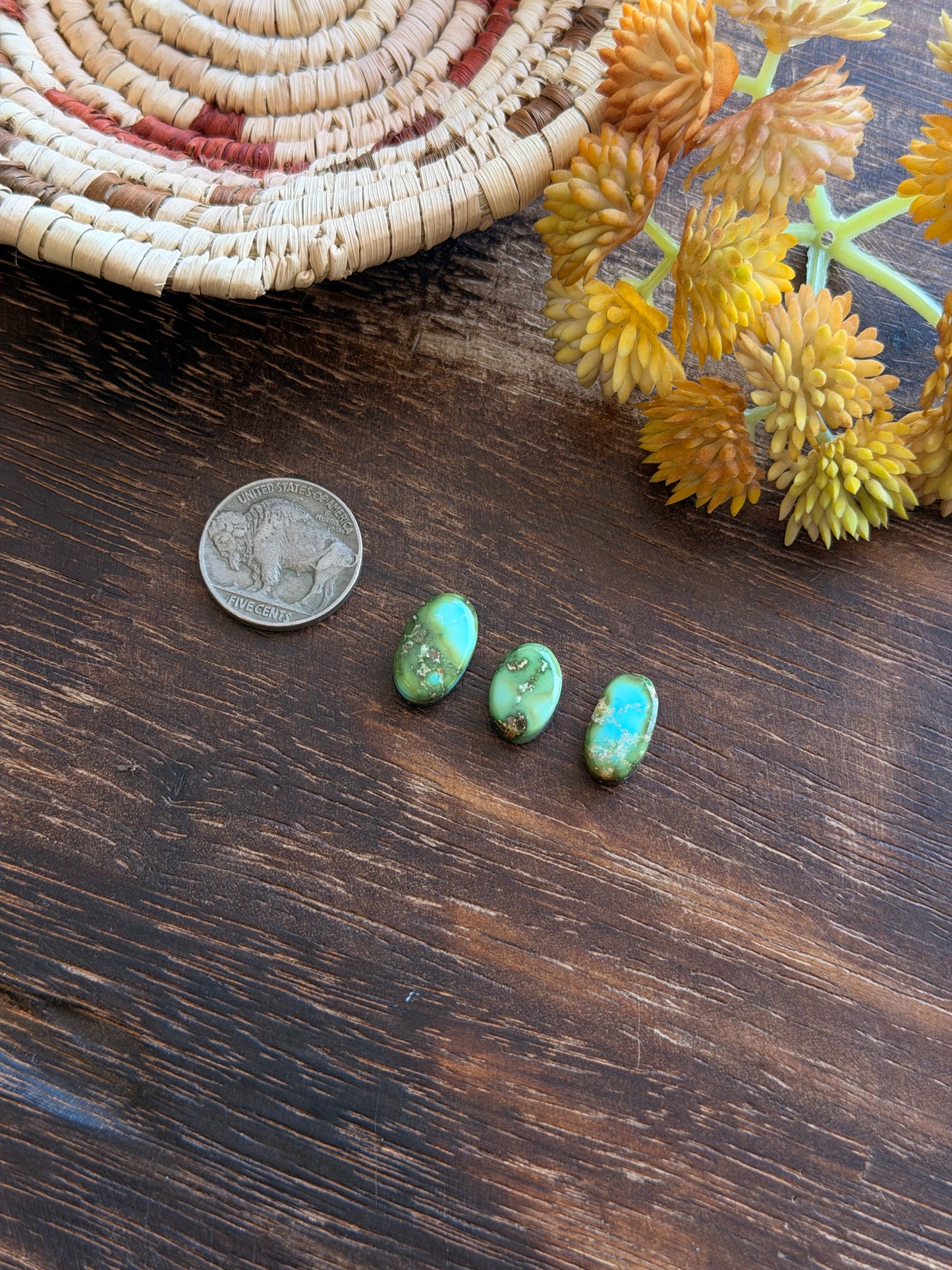 Sonoran Mountain Turquoise Cabs