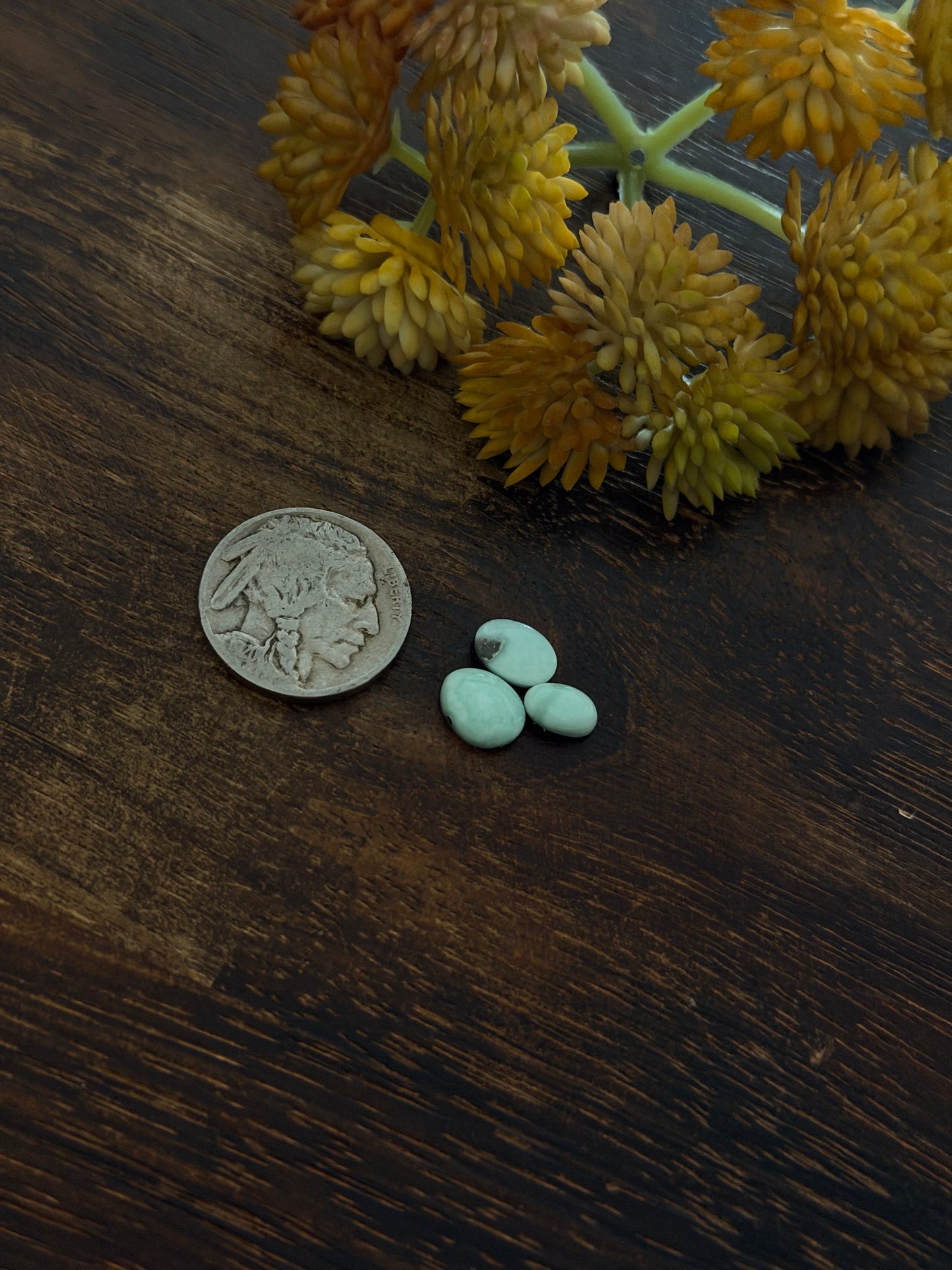 Paloma Variscite Cabs