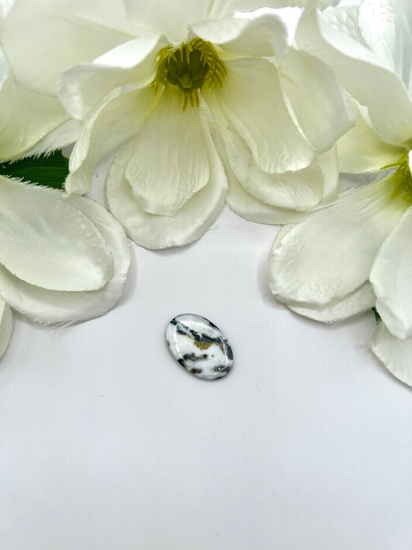 White Buffalo Cabs