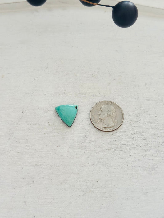 Kingman Turquoise Cab