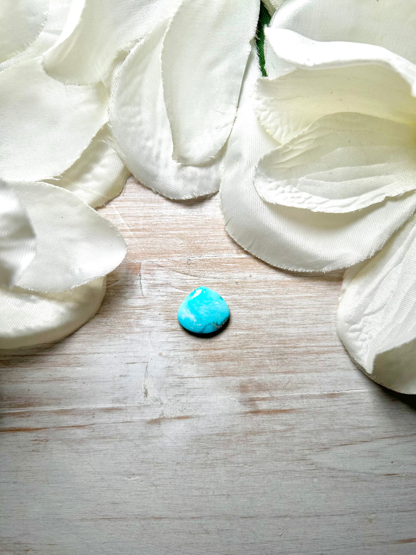 Blue Ridge Turquoise Cab